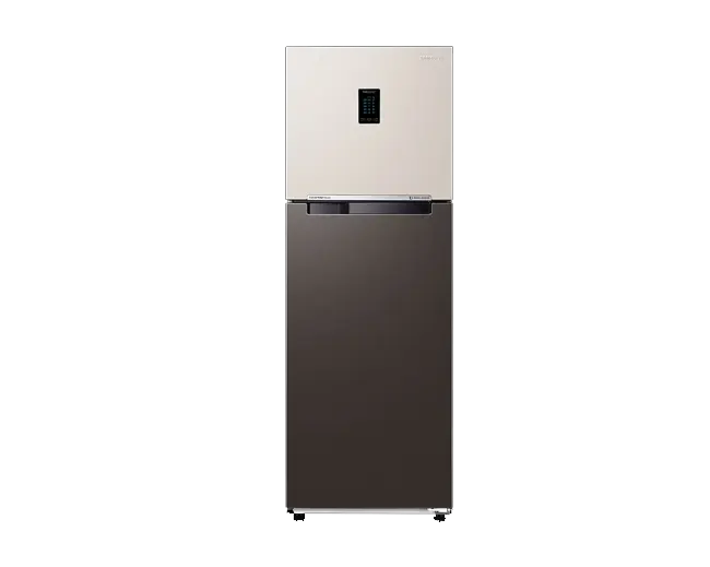 301L BESPOKE Double Door Refrigerator RT34CB522C7